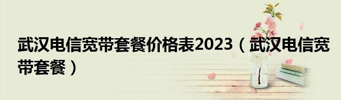 武漢電信寬帶套餐價格表2023（武漢電信寬帶套餐）