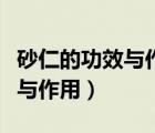 砂仁的功效與作用的功能與主治（砂仁的功效與作用）