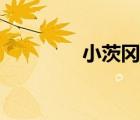 小茨岡人物簡介（小茨岡）