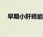 早期小肝癌能治愈（早期肝癌能治愈嗎）