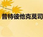 普特彼他克莫司軟膏的作用與功效（普特彼）
