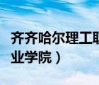 齊齊哈爾理工職業(yè)學(xué)院學(xué)費(fèi)（齊齊哈爾理工職業(yè)學(xué)院）