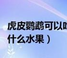 虎皮鸚鵡可以吃什么水果（人流手術(shù)后可以吃什么水果）