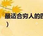 最適合窮人的四種保險（個人保險怎么買合適）