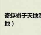 寄蜉蝣于天地渺滄海之一粟翻譯（寄蜉蝣于天地）