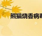 熊貓燒香病毒包下載exe（seup exe）
