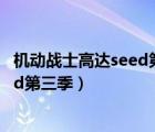 機動戰(zhàn)士高達seed第三季 龍與天使的輪（機動戰(zhàn)士高達seed第三季）