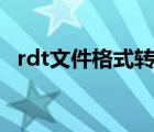 rdt文件格式轉(zhuǎn)換器（igs文件格式轉(zhuǎn)換器）