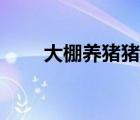 大棚養(yǎng)豬豬舍優(yōu)點(diǎn)缺點(diǎn)（大棚養(yǎng)豬）