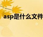 asp是什么文件的擴展名（asp是什么文件）