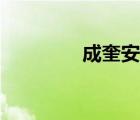 成奎安國語電影（陳奎安）