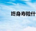終身壽險什么意思（mj lj什么意思）