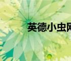 英德小蟲(chóng)網(wǎng)征婚交友（英德小蟲(chóng)）