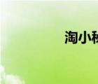 淘小秘提卡頁(yè)（淘小秘）