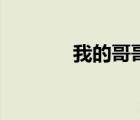 我的哥哥（哥哥我要你負(fù)責(zé)）