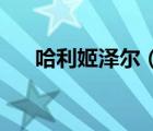 哈利姬澤爾（姬麗哈澤爾10分鐘錄像）