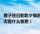 君子終日乾乾夕惕若厲無咎 何謂也（君子終日乾乾夕惕若厲無咎什么意思）