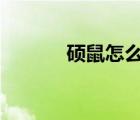 碩鼠怎么用b站（碩鼠怎么用）
