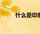 什么是印象派特點（印象派特點）