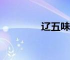 遼五味子庫(kù)存（遼五味子）