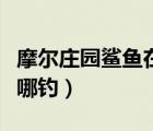 摩爾莊園鯊魚在哪釣幾率大（摩爾莊園鯊魚在哪釣）