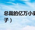 總裁的億萬小妻子最新章節(jié)（總裁的億萬小妻子）