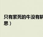 只有累死的牛沒有耕壞的田啥意思（小手一抖op沒有什么意思）