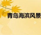 青島海濱風(fēng)景區(qū)管理（青島海濱風(fēng)景區(qū)）