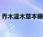 喬木灌木草本藤本圖片（喬木灌木草本藤本）