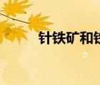 針鐵礦和鐵隕石的差別（針鐵礦）