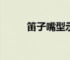 笛子嘴型示范視頻（吹笛子嘴型）
