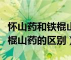 懷山藥和鐵棍山藥的區(qū)別怎么種（懷山藥和鐵棍山藥的區(qū)別）