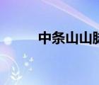 中條山山脈多長（中條山山脈圖）