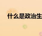 什么是政治生態(tài)之要（什么是政治生態(tài)）