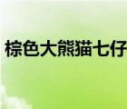 棕色大熊貓七仔在哪個(gè)動(dòng)物園（棕色大熊貓）
