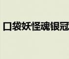 口袋妖怪魂銀冠軍之路地圖（冠軍之路地圖）