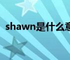 shawn是什么意思中文（shawn fanning）