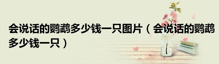 會說話的鸚鵡多少錢一只圖片（會說話的鸚鵡多少錢一只）