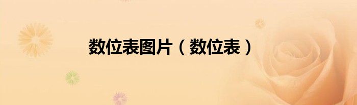數(shù)位表圖片（數(shù)位表）