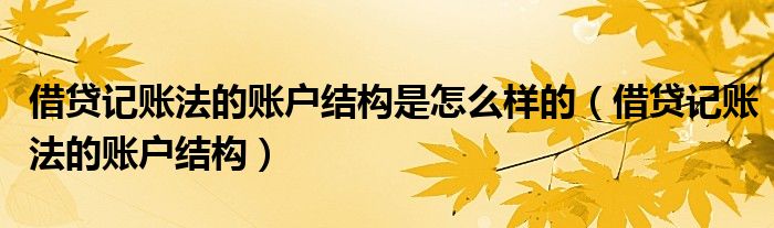 借貸記賬法的賬戶結(jié)構(gòu)是怎么樣的（借貸記賬法的賬戶結(jié)構(gòu)）