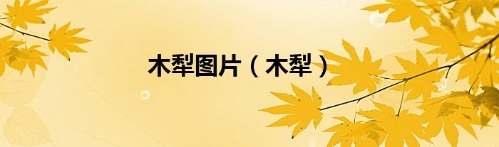 木犁圖片（木犁）