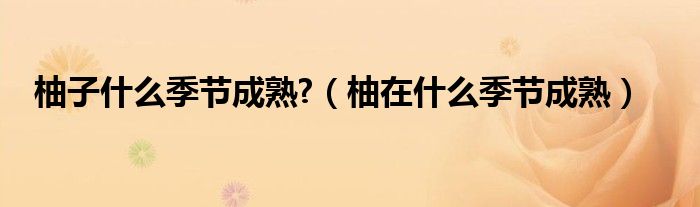 柚子什么季節(jié)成熟?（柚在什么季節(jié)成熟）