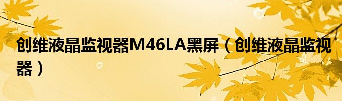 創(chuàng)維液晶監(jiān)視器M46LA黑屏（創(chuàng)維液晶監(jiān)視器）
