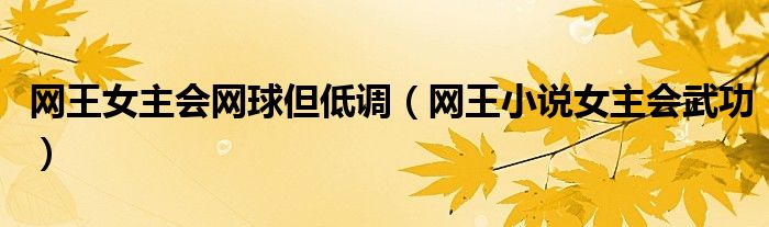 網(wǎng)王女主會(huì)網(wǎng)球但低調(diào)（網(wǎng)王小說女主會(huì)武功）