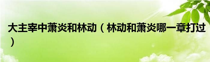大主宰中蕭炎和林動（林動和蕭炎哪一章打過）