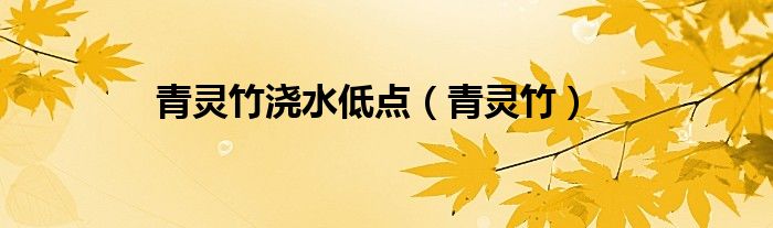 青靈竹澆水低點(diǎn)（青靈竹）