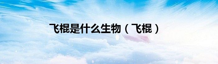 飛棍是什么生物（飛棍）