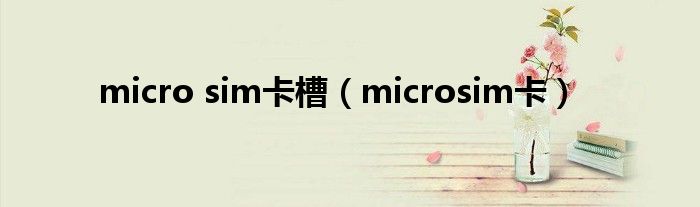 micro sim卡槽（microsim卡）