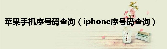 蘋果手機(jī)序號(hào)碼查詢（iphone序號(hào)碼查詢）