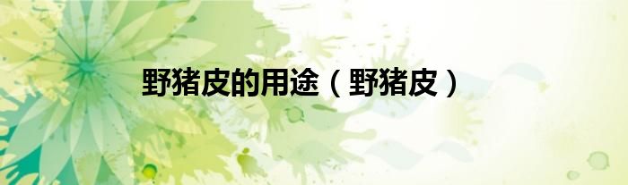 野豬皮的用途（野豬皮）